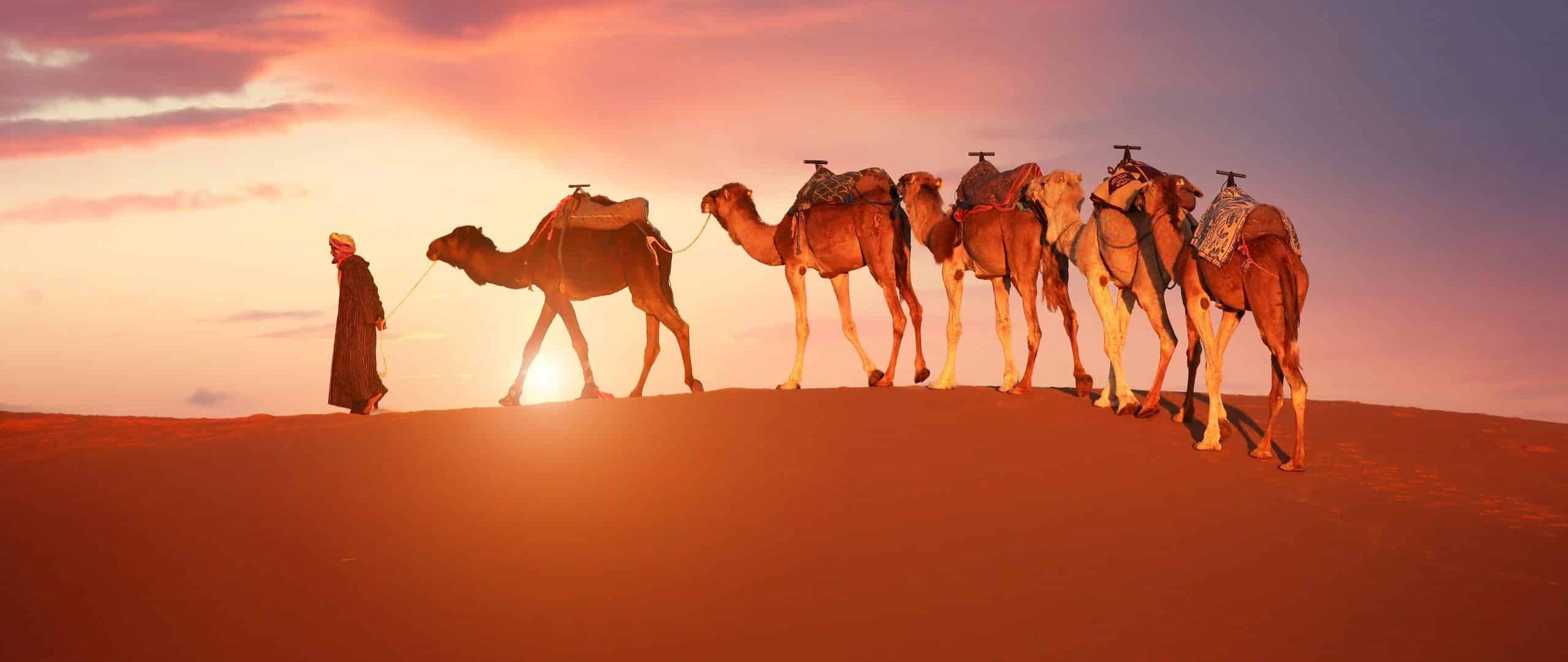 6-Day Tour from Tangier to Marrakech via Sahara Desert