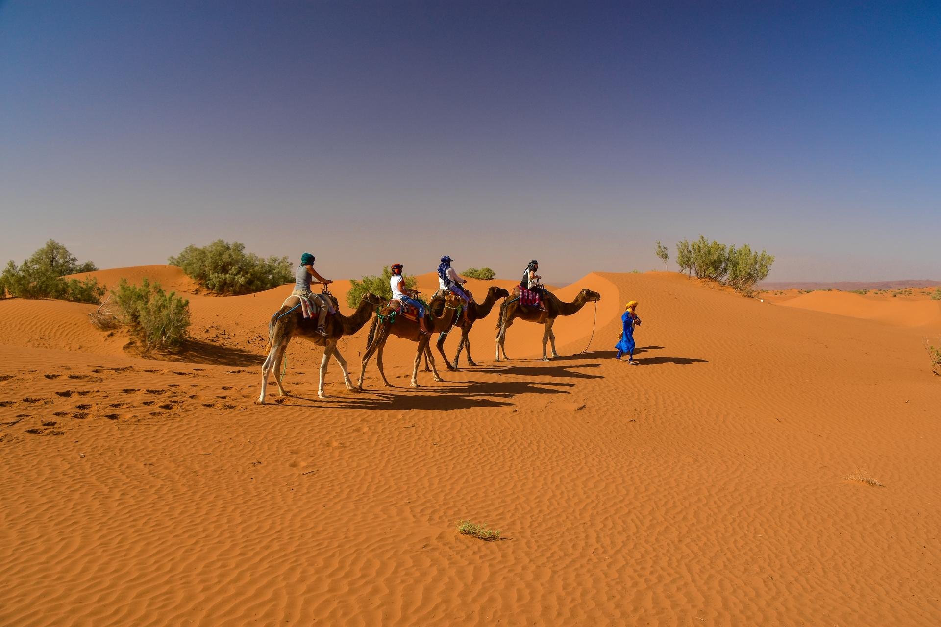 Desert tours 2 days from Marrakech to Zagora